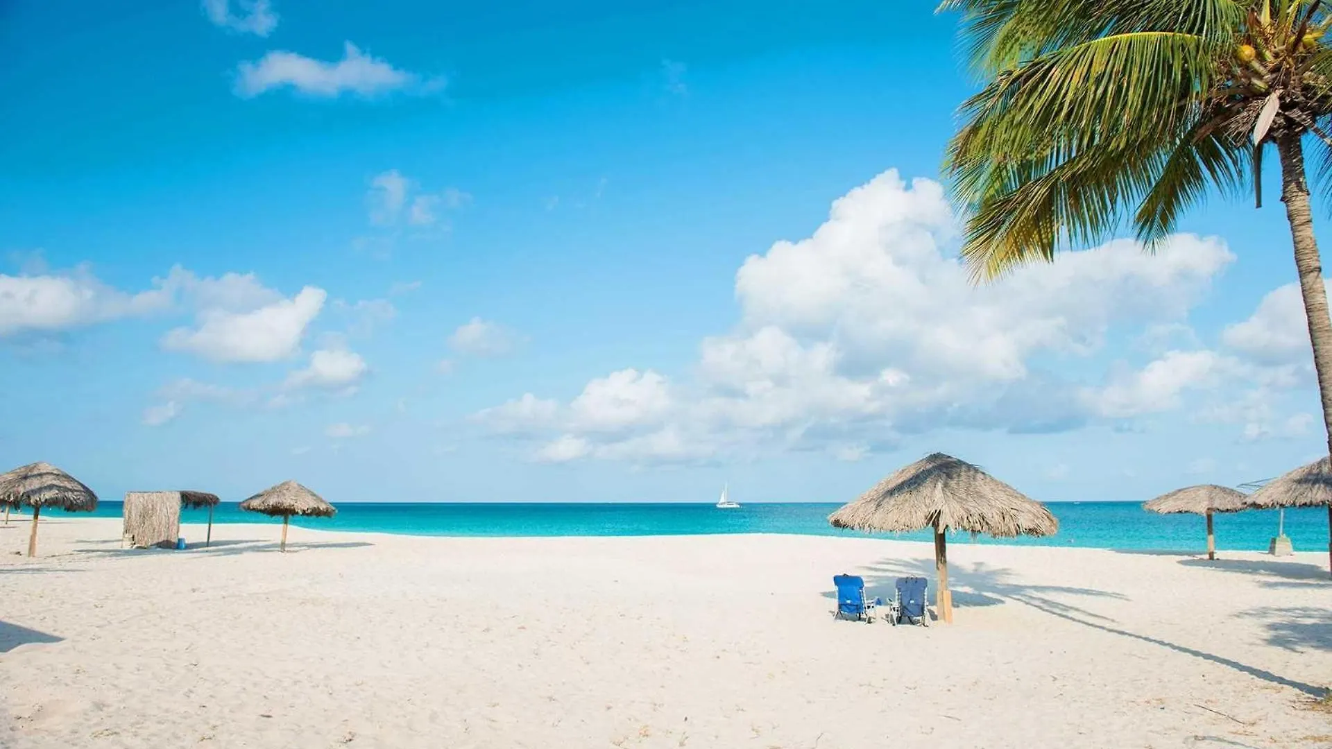 Holiday home Beachfront - Coral Sea Garden 3Br Condo - P116 Palm Beach