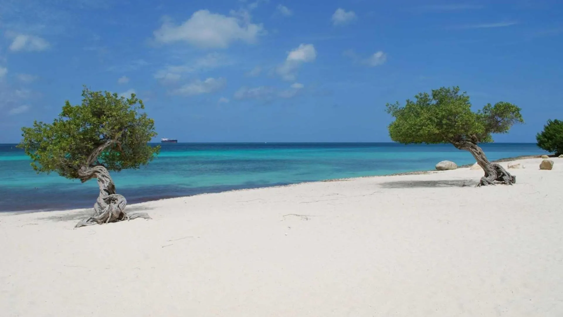 Beachfront - Coral Sea Garden 3Br Condo - P116 شاطئ بالم أروبا